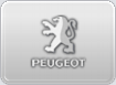 FOX Sportuitlaat Pegeot 206